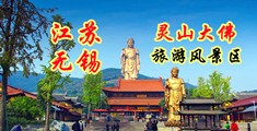 小骚逼橘色网站江苏无锡灵山大佛旅游风景区