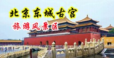 草逼逼爱中国北京-东城古宫旅游风景区
